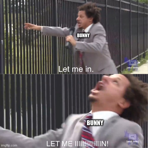 let me in | BUNNY BUNNY | image tagged in let me in | made w/ Imgflip meme maker