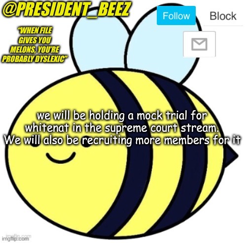 that will make future trials less confusing and easier | we will be holding a mock trial for whitenat in the supreme court stream. We will also be recruiting more members for it | image tagged in president_beez announcement | made w/ Imgflip meme maker