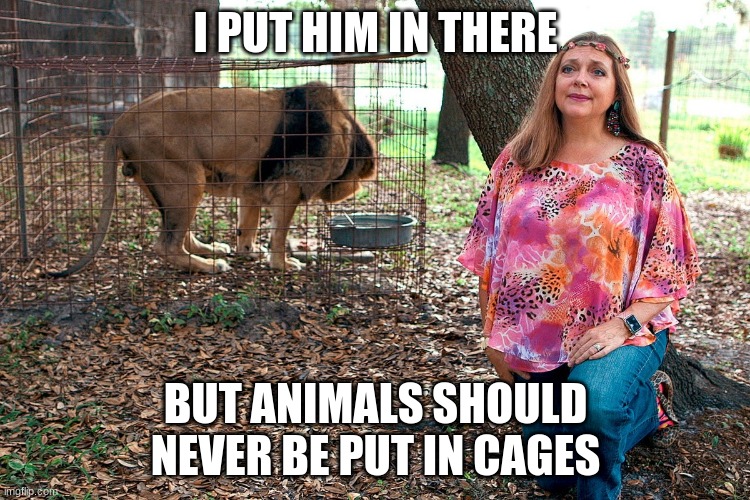 wait what? |  I PUT HIM IN THERE; BUT ANIMALS SHOULD NEVER BE PUT IN CAGES | image tagged in dumb,carol baskin,tiger king,confused | made w/ Imgflip meme maker