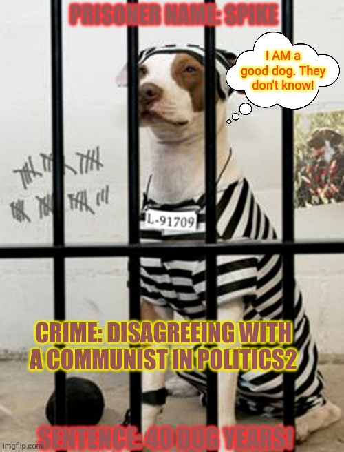 Meet the other prisoners! | PRISONER NAME: SPIKE; I AM a good dog. They don't know! CRIME: DISAGREEING WITH A COMMUNIST IN POLITICS2; SENTENCE: 40 DOG YEARS! | image tagged in dog in prison,doge,cute animals,disagreement will not be tolerated | made w/ Imgflip meme maker