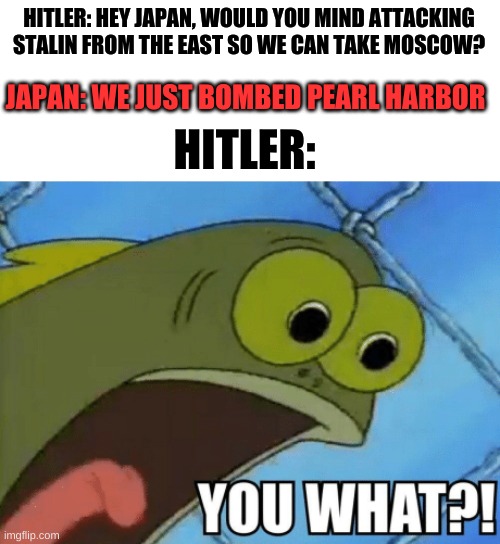 YOU WHAT! | HITLER: HEY JAPAN, WOULD YOU MIND ATTACKING STALIN FROM THE EAST SO WE CAN TAKE MOSCOW? JAPAN: WE JUST BOMBED PEARL HARBOR; HITLER: | image tagged in you what,ww2,japan,repost | made w/ Imgflip meme maker
