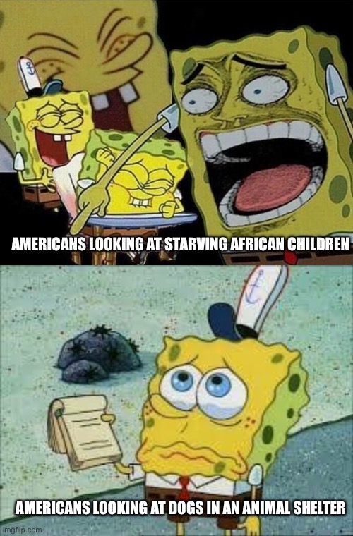 More of a statement than humor. | AMERICANS LOOKING AT STARVING AFRICAN CHILDREN; AMERICANS LOOKING AT DOGS IN AN ANIMAL SHELTER | image tagged in spongebob laughing hysterically,help_please_spongebob,africa,dogs | made w/ Imgflip meme maker