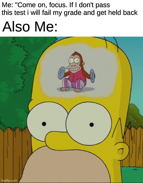 homer monkey | Me: "Come on, focus. If I don't pass this test i will fail my grade and get held back; Also Me: | image tagged in homer monkey | made w/ Imgflip meme maker