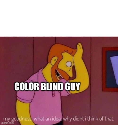 my goodness what an idea why didn't I think of that | COLOR BLIND GUY | image tagged in my goodness what an idea why didn't i think of that | made w/ Imgflip meme maker