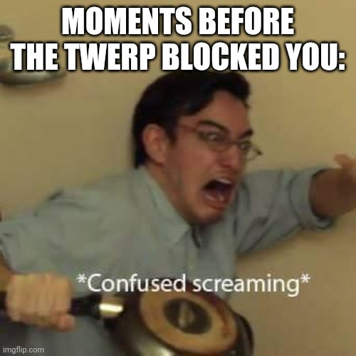 filthy frank confused scream | MOMENTS BEFORE THE TWERP BLOCKED YOU: | image tagged in filthy frank confused scream | made w/ Imgflip meme maker