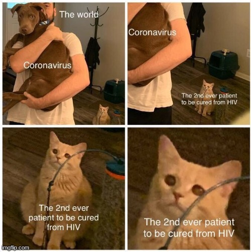 ;-; | image tagged in crying cat | made w/ Imgflip meme maker