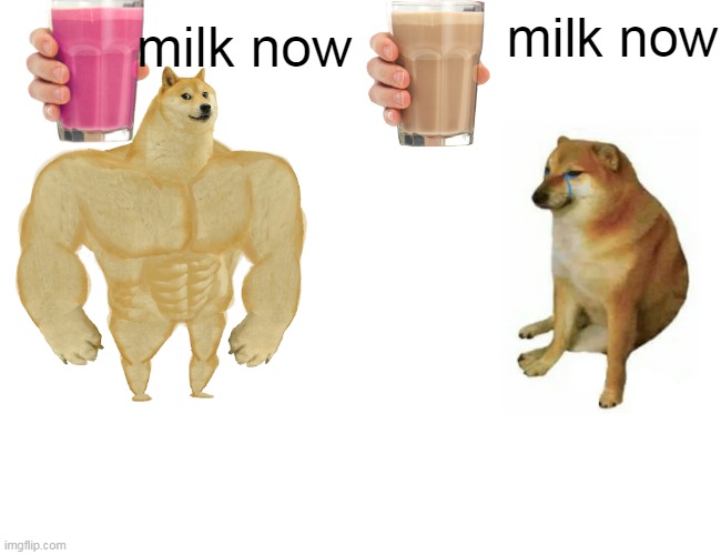 Buff Doge vs. Cheems | milk now; milk now | image tagged in memes,buff doge vs cheems | made w/ Imgflip meme maker