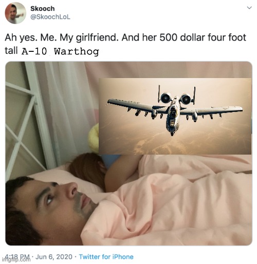 Upvote for A-10, comment for GAU-8 | A-10 Warthog | image tagged in ah yes me my girlfriend and her | made w/ Imgflip meme maker
