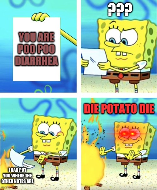 Spongebob Burning Paper | ??? YOU ARE POO POO DIARRHEA; DIE POTATO DIE; I CAN PUT YOU WHERE THE OTHER NOTES ARE | image tagged in spongebob burning paper | made w/ Imgflip meme maker