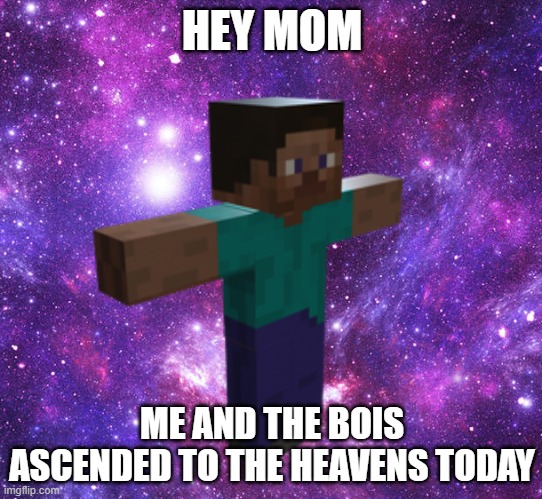 Space Steve | HEY MOM; ME AND THE BOIS ASCENDED TO THE HEAVENS TODAY | image tagged in space steve | made w/ Imgflip meme maker