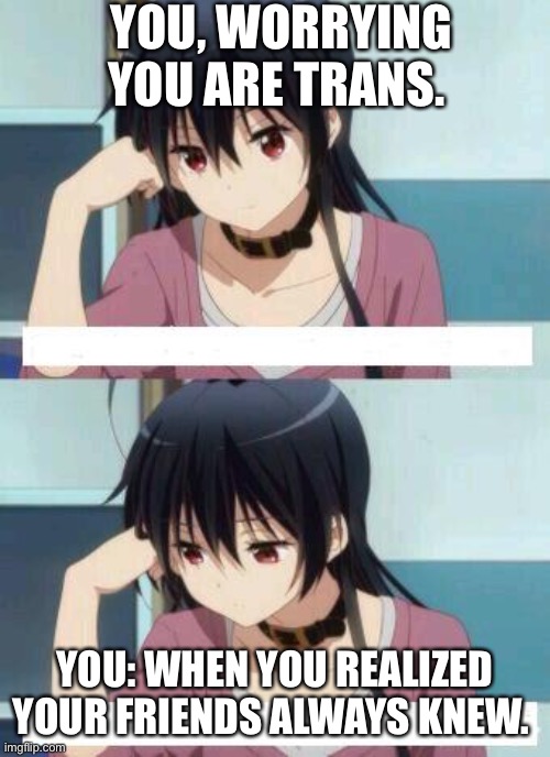 Anime Meme | YOU, WORRYING YOU ARE TRANS. YOU: WHEN YOU REALIZED YOUR FRIENDS ALWAYS KNEW. | image tagged in anime meme | made w/ Imgflip meme maker