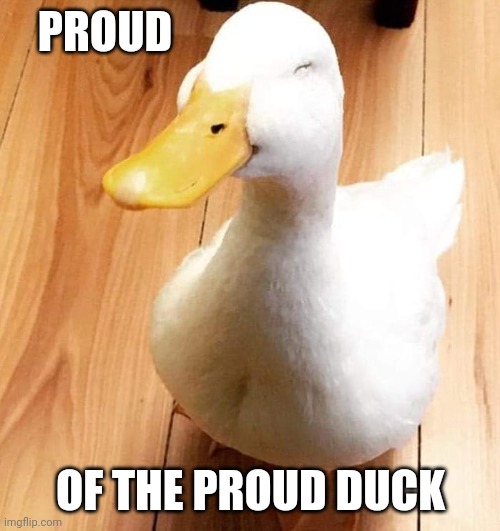 SMILE DUCK | PROUD OF THE PROUD DUCK | image tagged in smile duck | made w/ Imgflip meme maker