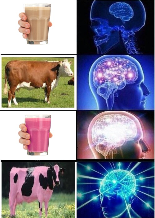 forget the cup of milk get it from the source | image tagged in memes,expanding brain,choccy milk,straby milk,strawberry milk,chocolate milk | made w/ Imgflip meme maker