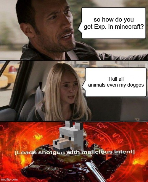 The Rock Driving Meme | so how do you get Exp. in minecraft? I kill all animals even my doggos | image tagged in memes,the rock driving | made w/ Imgflip meme maker