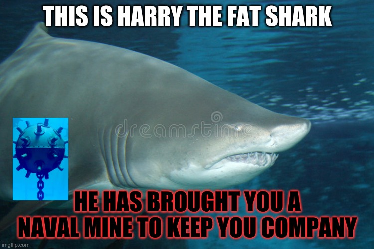THIS IS HARRY THE FAT SHARK; HE HAS BROUGHT YOU A NAVAL MINE TO KEEP YOU COMPANY | made w/ Imgflip meme maker