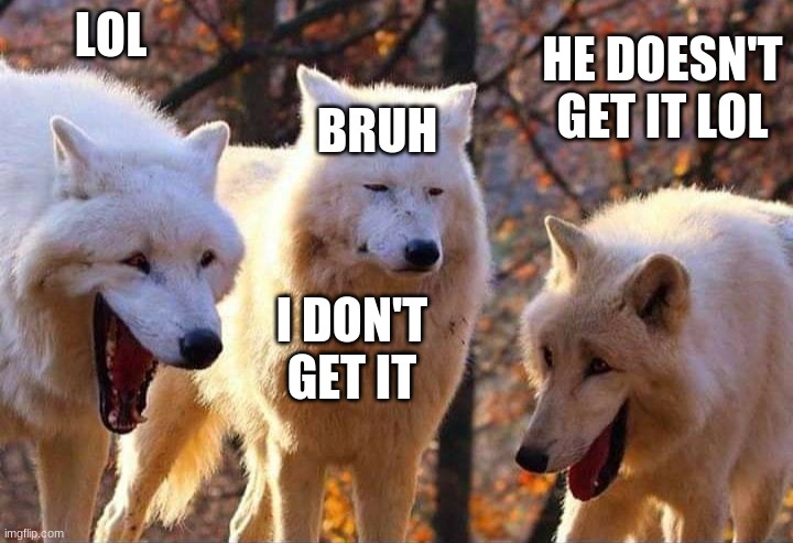 tag a friend who is the middle wolf | LOL; HE DOESN'T GET IT LOL; BRUH; I DON'T GET IT | image tagged in laughing wolf | made w/ Imgflip meme maker