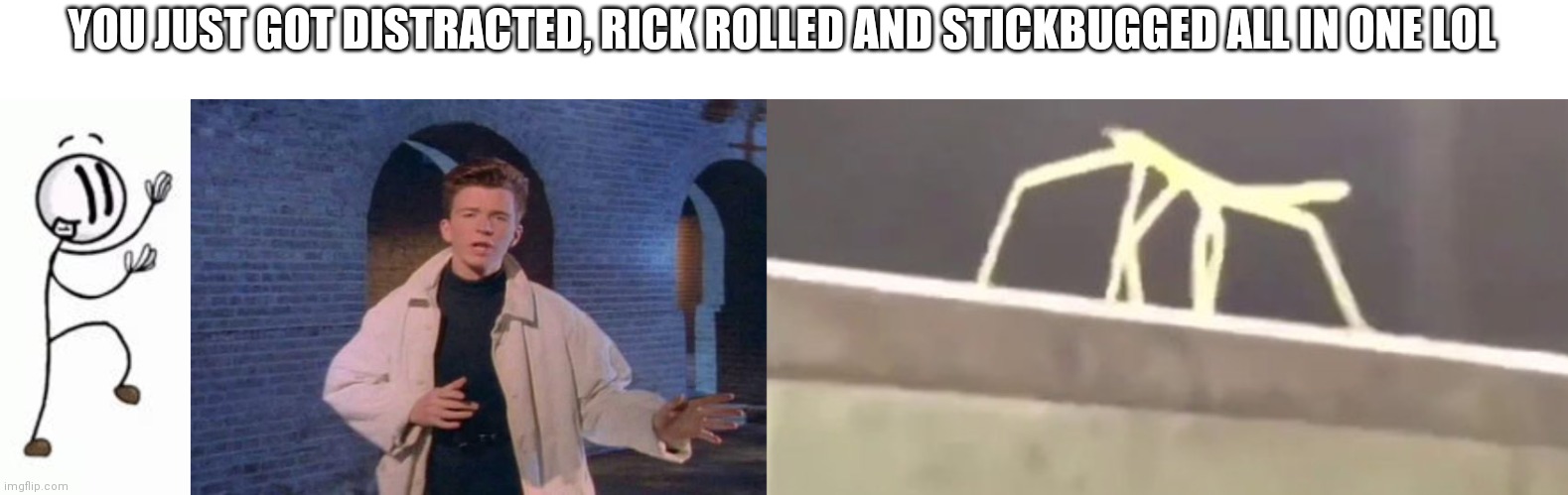 Lol | YOU JUST GOT DISTRACTED, RICK ROLLED AND STICKBUGGED ALL IN ONE LOL | image tagged in distraction dance,rick rolled,get stick bugged lol | made w/ Imgflip meme maker