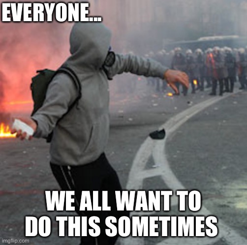 man throwing brick at riot police | EVERYONE... WE ALL WANT TO DO THIS SOMETIMES | image tagged in man throwing brick at riot police | made w/ Imgflip meme maker