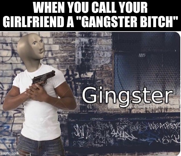 Ginster | WHEN YOU CALL YOUR GIRLFRIEND A "GANGSTER BITCH" | image tagged in ginster | made w/ Imgflip meme maker