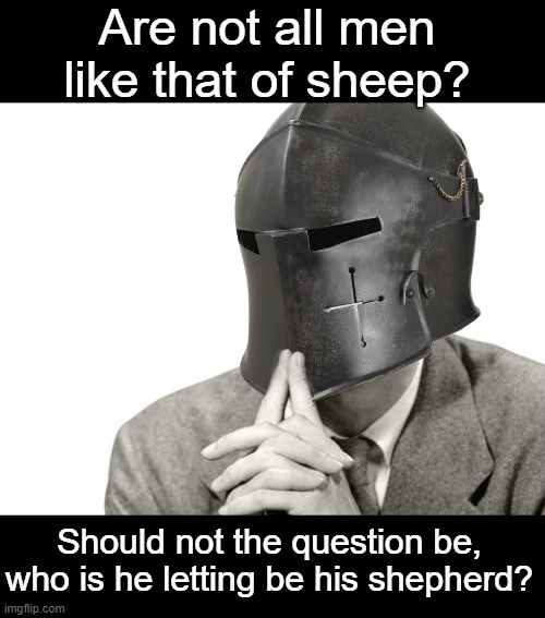 Just a thought I had | Are not all men like that of sheep? Should not the question be, who is he letting be his shepherd? | image tagged in idk | made w/ Imgflip meme maker