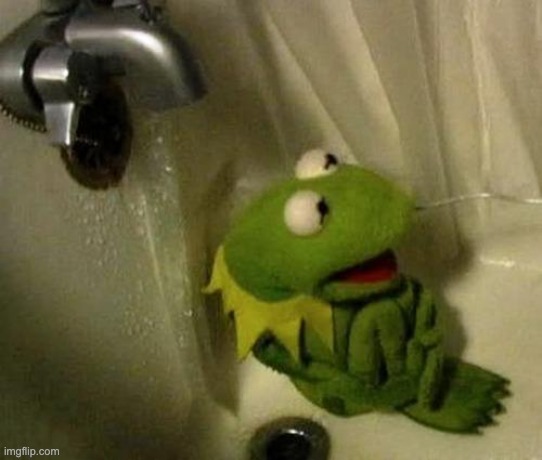 Kermit on Shower | image tagged in kermit on shower | made w/ Imgflip meme maker