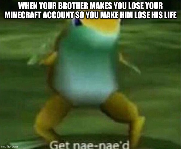 oof | WHEN YOUR BROTHER MAKES YOU LOSE YOUR MINECRAFT ACCOUNT SO YOU MAKE HIM LOSE HIS LIFE | image tagged in get nae-nae'd,upvotes | made w/ Imgflip meme maker