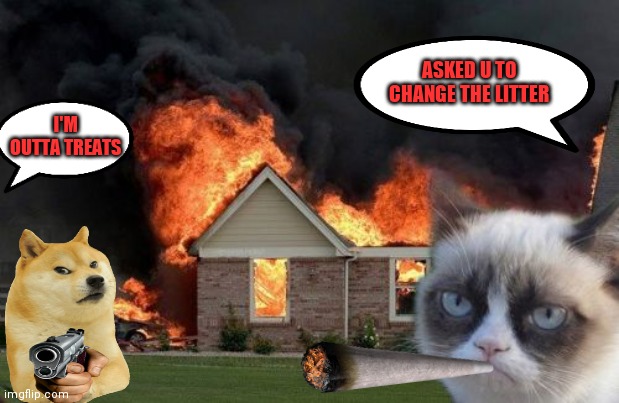 Pets rule | ASKED U TO CHANGE THE LITTER; I'M OUTTA TREATS | image tagged in memes,burn kitty,grumpy cat | made w/ Imgflip meme maker