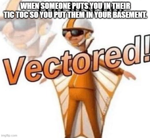 You just got vectored | WHEN SOMEONE PUTS YOU IN THEIR TIC TOC SO YOU PUT THEM IN YOUR BASEMENT. | image tagged in you just got vectored | made w/ Imgflip meme maker