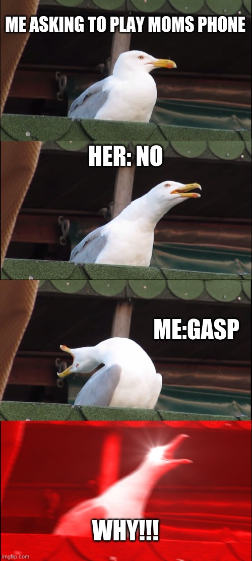 Inhaling Seagull | ME ASKING TO PLAY MOMS PHONE; HER: NO; ME:GASP; WHY!!! | image tagged in memes,inhaling seagull | made w/ Imgflip meme maker