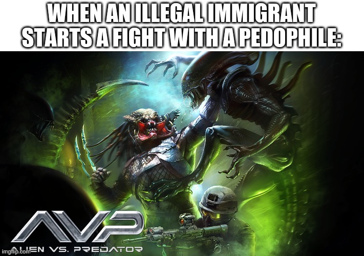 WHEN AN ILLEGAL IMMIGRANT STARTS A FIGHT WITH A PEDOPHILE: | image tagged in funny memes,funny,alien,memes,lol | made w/ Imgflip meme maker