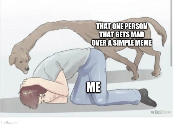 You must've seen this happen to someone or yourself | THAT ONE PERSON THAT GETS MAD OVER A SIMPLE MEME; ME | image tagged in wikihow dog | made w/ Imgflip meme maker