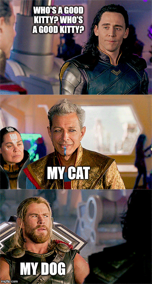 TBH, Loki seems more like a cat person to me, and Thor seems more like a dog one. | WHO'S A GOOD KITTY? WHO'S A GOOD KITTY? MY CAT; MY DOG | image tagged in marvel,thor ragnarok,thor,loki,cat,dog | made w/ Imgflip meme maker