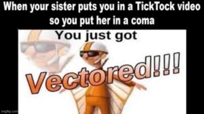 Y E S | image tagged in you just got vectored,tiktok sucks | made w/ Imgflip meme maker