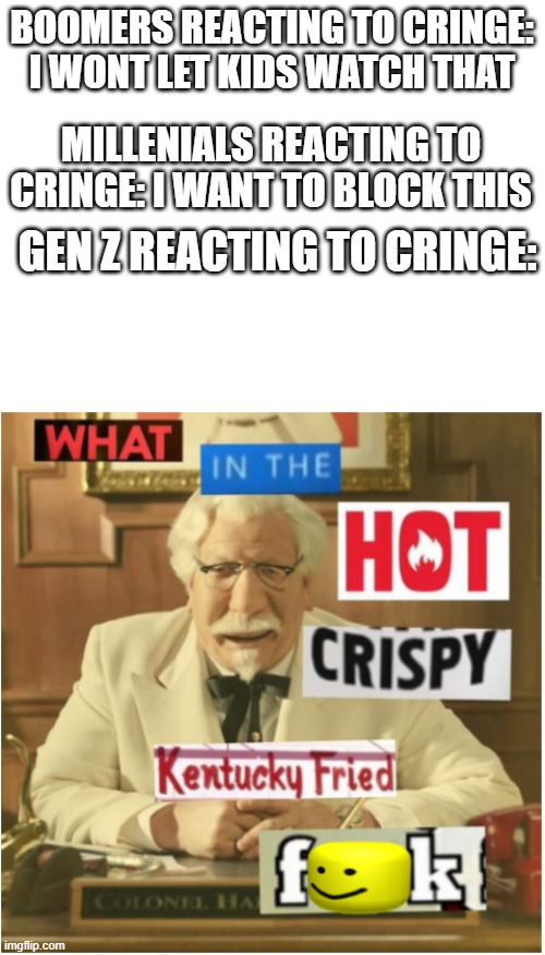 Bruh | BOOMERS REACTING TO CRINGE: I WONT LET KIDS WATCH THAT; MILLENIALS REACTING TO CRINGE: I WANT TO BLOCK THIS; GEN Z REACTING TO CRINGE: | image tagged in blank white template,what in the hot crispy kentucky fried frick censored,boomer,millenial,gen z | made w/ Imgflip meme maker