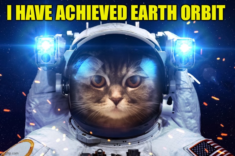 Space Cat 2 | I HAVE ACHIEVED EARTH ORBIT | image tagged in space cat 2 | made w/ Imgflip meme maker