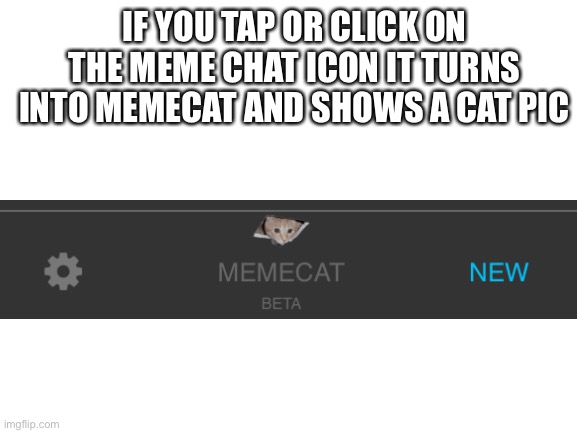 Blank White Template | IF YOU TAP OR CLICK ON THE MEME CHAT ICON IT TURNS INTO MEMECAT AND SHOWS A CAT PIC | image tagged in meme chat,imgflip | made w/ Imgflip meme maker