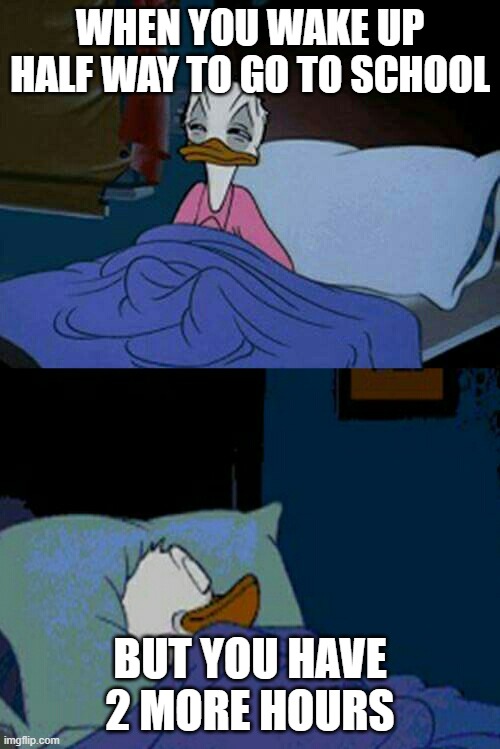 sleepy donald duck in bed | WHEN YOU WAKE UP HALF WAY TO GO TO SCHOOL; BUT YOU HAVE 2 MORE HOURS | image tagged in sleepy donald duck in bed | made w/ Imgflip meme maker
