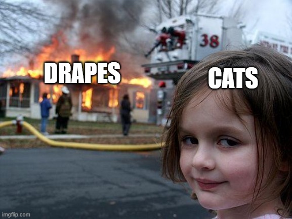 Disaster Girl | CATS; DRAPES | image tagged in memes,disaster girl | made w/ Imgflip meme maker