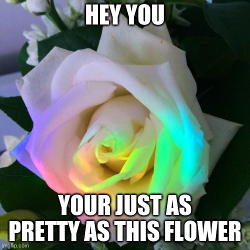 HEY YOU; YOUR JUST AS PRETTY AS THIS FLOWER | image tagged in memes,flowers,so true | made w/ Imgflip meme maker