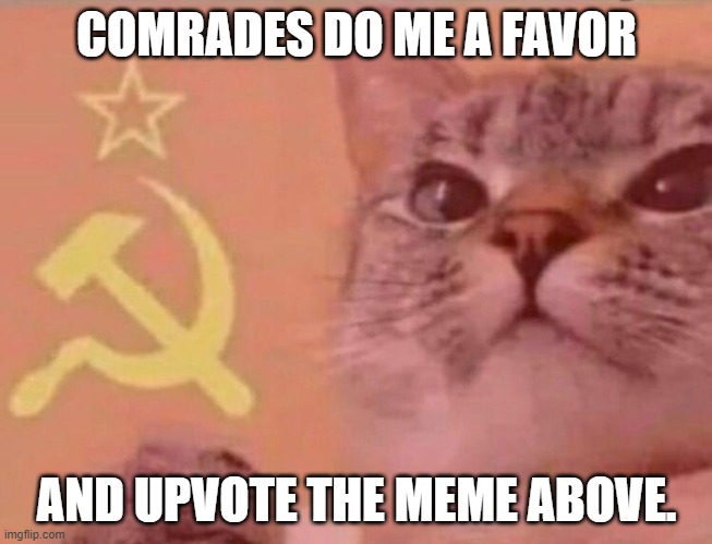 Do me a favor |  COMRADES DO ME A FAVOR; AND UPVOTE THE MEME ABOVE. | image tagged in communist cat,shut up and take my upvote,nice guy,communism,memes | made w/ Imgflip meme maker