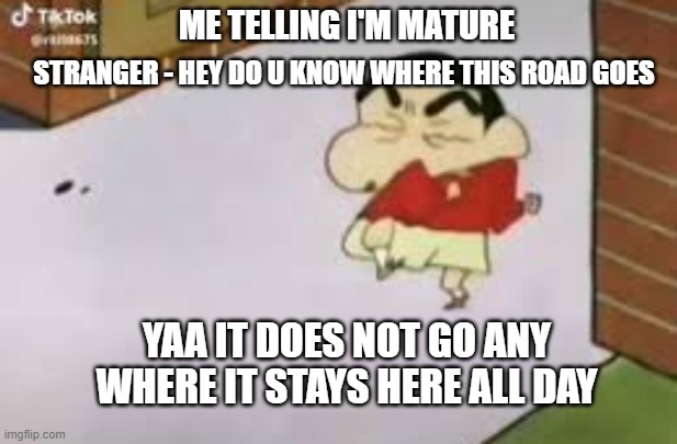 shinchan meme | ME TELLING I'M MATURE; STRANGER - HEY DO U KNOW WHERE THIS ROAD GOES; YAA IT DOES NOT GO ANY WHERE IT STAYS HERE ALL DAY | image tagged in funny | made w/ Imgflip meme maker