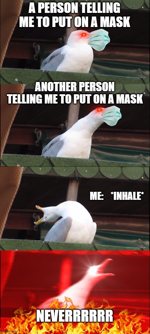 Inhaling Seagull | A PERSON TELLING ME TO PUT ON A MASK; ANOTHER PERSON TELLING ME TO PUT ON A MASK; ME:    *INHALE*; NEVERRRRRR | image tagged in memes,inhaling seagull | made w/ Imgflip meme maker