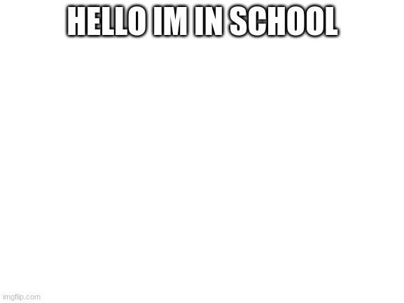 Blank White Template | HELLO IM IN SCHOOL | image tagged in blank white template | made w/ Imgflip meme maker