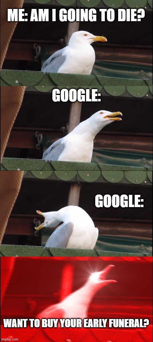 ME: AM I GOING TO DIE? GOOGLE: GOOGLE: WANT TO BUY YOUR EARLY FUNERAL? | image tagged in memes,inhaling seagull | made w/ Imgflip meme maker