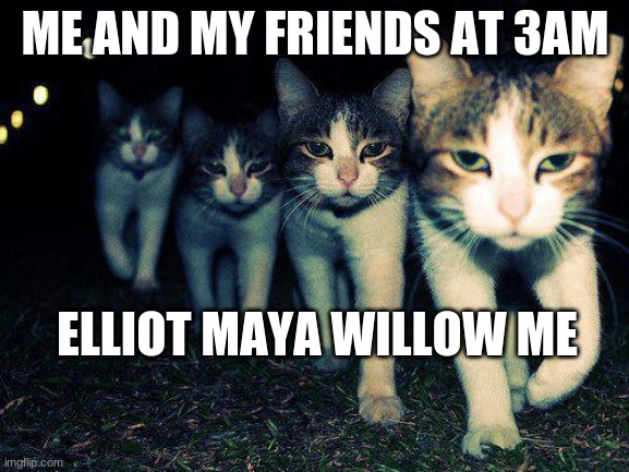 me and the girl squad | ME AND MY FRIENDS AT 3AM; ELLIOT MAYA WILLOW ME | image tagged in memes,wrong neighboorhood cats | made w/ Imgflip meme maker