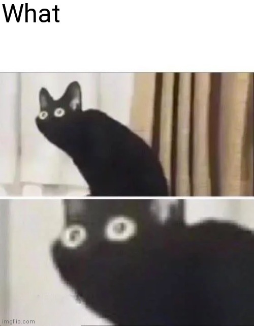 Oh No Black Cat | What | image tagged in oh no black cat | made w/ Imgflip meme maker