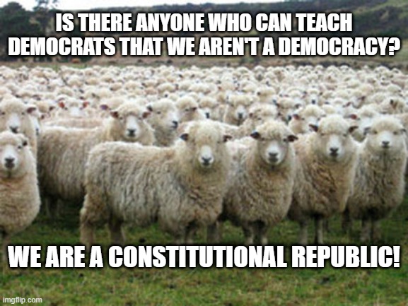 Democrats Don't Know We Are A Constitutional Republic! | IS THERE ANYONE WHO CAN TEACH DEMOCRATS THAT WE AREN'T A DEMOCRACY? WE ARE A CONSTITUTIONAL REPUBLIC! | image tagged in democrats are sheep | made w/ Imgflip meme maker