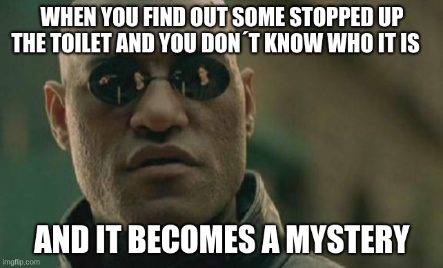 Matrix Morpheus | WHEN YOU FIND OUT SOME STOPPED UP THE TOILET AND YOU DON´T KNOW WHO IT IS; AND IT BECOMES A MYSTERY | image tagged in memes,matrix morpheus | made w/ Imgflip meme maker