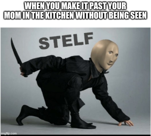 Stelf | WHEN YOU MAKE IT PAST YOUR MOM IN THE KITCHEN WITHOUT BEING SEEN | image tagged in stelf | made w/ Imgflip meme maker