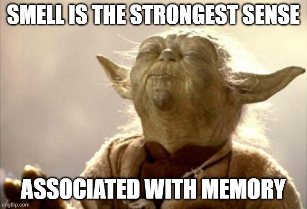 What is a smell that instantly takes you back to a memory? | SMELL IS THE STRONGEST SENSE; ASSOCIATED WITH MEMORY | image tagged in yoda smell,memories | made w/ Imgflip meme maker